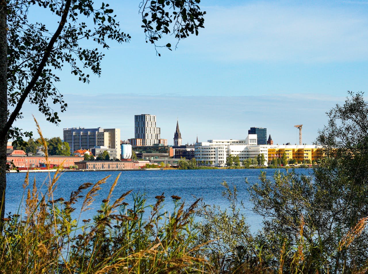 pexels photo 33722152.jpeg